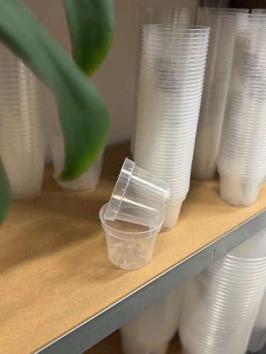 mała plastikowa transparentna doniczka do osłonki o średnicy 9 centymetrów