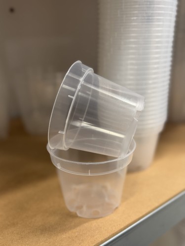 zbliżenie na przezroczystą plastikową doniczkę o średnicy 9 centymetrów