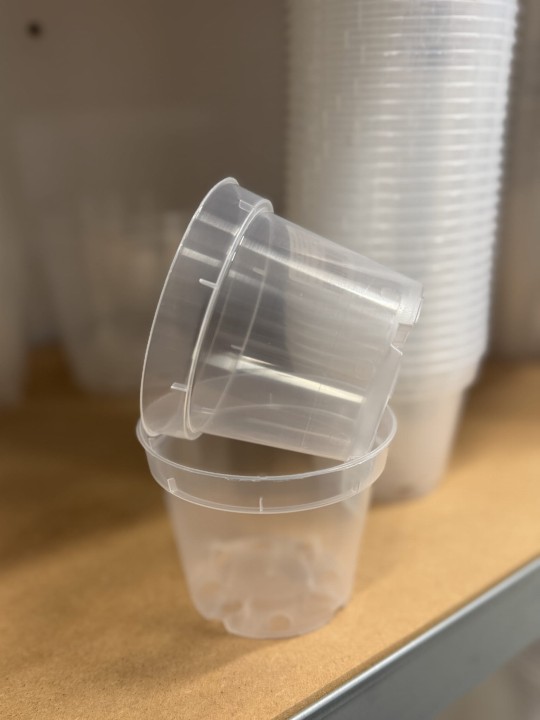 zbliżenie na przezroczystą plastikową doniczkę o średnicy 9 centymetrów