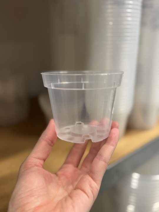 plastikowa transparentna doniczka o średnicy 9 centymetrów w dłoni