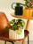 1054