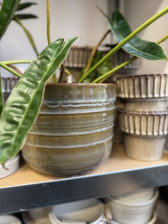 goodsforroots-rasteli-jupiter-pot.jpg