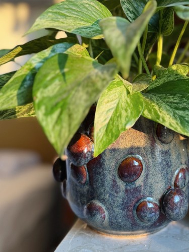 Osłonka na doniczkę w grzyby i epipremnum marble queen