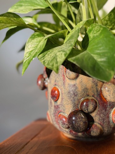 Zbliżenie na ceramiczną osłonkę na doniczkę w grzyby