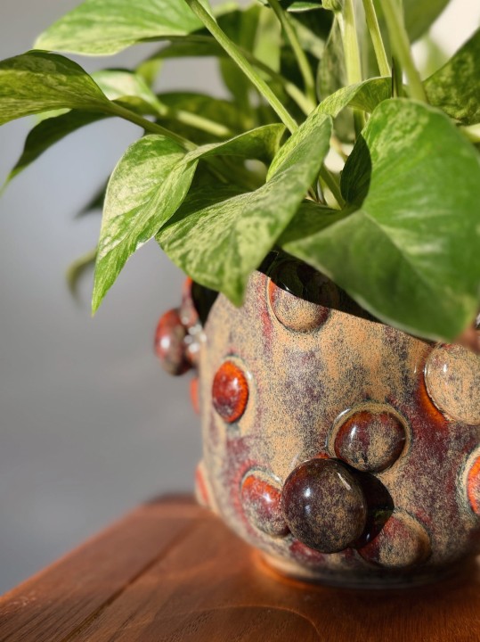 Zbliżenie na ceramiczną osłonkę na doniczkę w grzyby