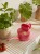 2024_04_17_Haws_Lifestyle Shoot_Indoors_0501.jpg