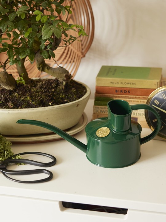 2024_04_17_Haws_Lifestyle Shoot_Indoors_1381a.jpg