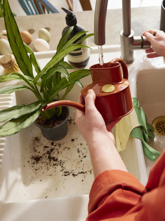 2024_04_17_Haws_Lifestyle Shoot_Indoors_0556a.jpg