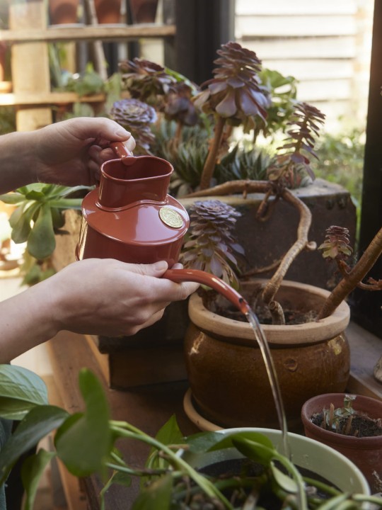 2024_04_17_Haws_Lifestyle Shoot_Indoors_1200a.jpg