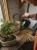 2024_04_17_Haws_Lifestyle Shoot_Indoors_1624a.jpg