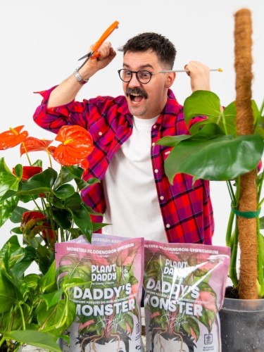 daddys monster dawid oleszko.jpg