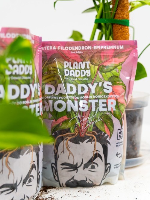 daddys monster podłoże bigos.jpg