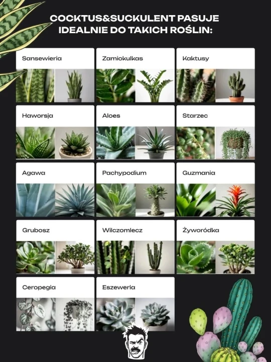 cocktus-gatunki.jpg