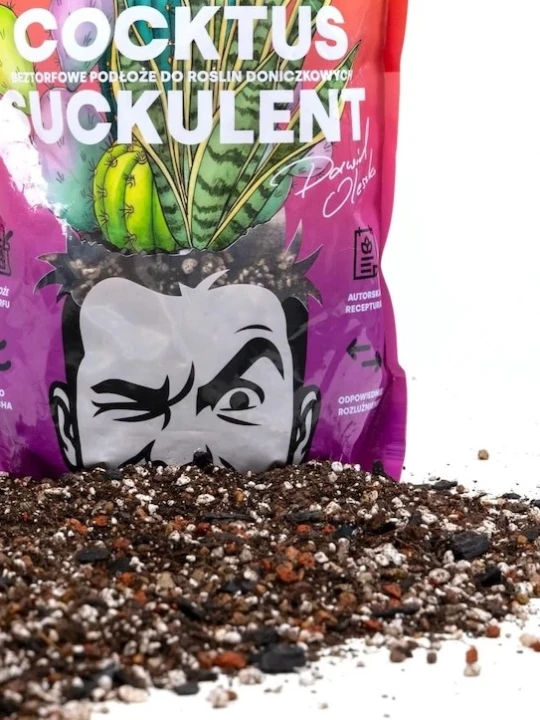 cocktus-ziemia.jpg