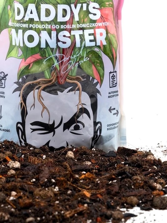 monstera-ziemia.jpg