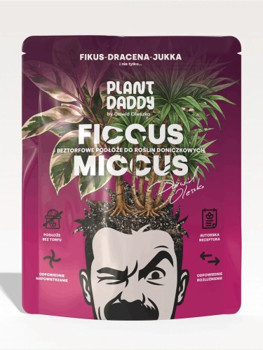ficcus miccus podłoże do fikusów